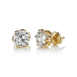 Bea Studs 3.72