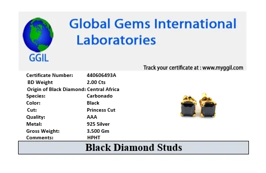 Certified Princess Cut Black Diamond Solitaire Studs in Sterling Silver, Great Sparkle & Luster