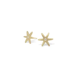 Diamond Center Star Earrings