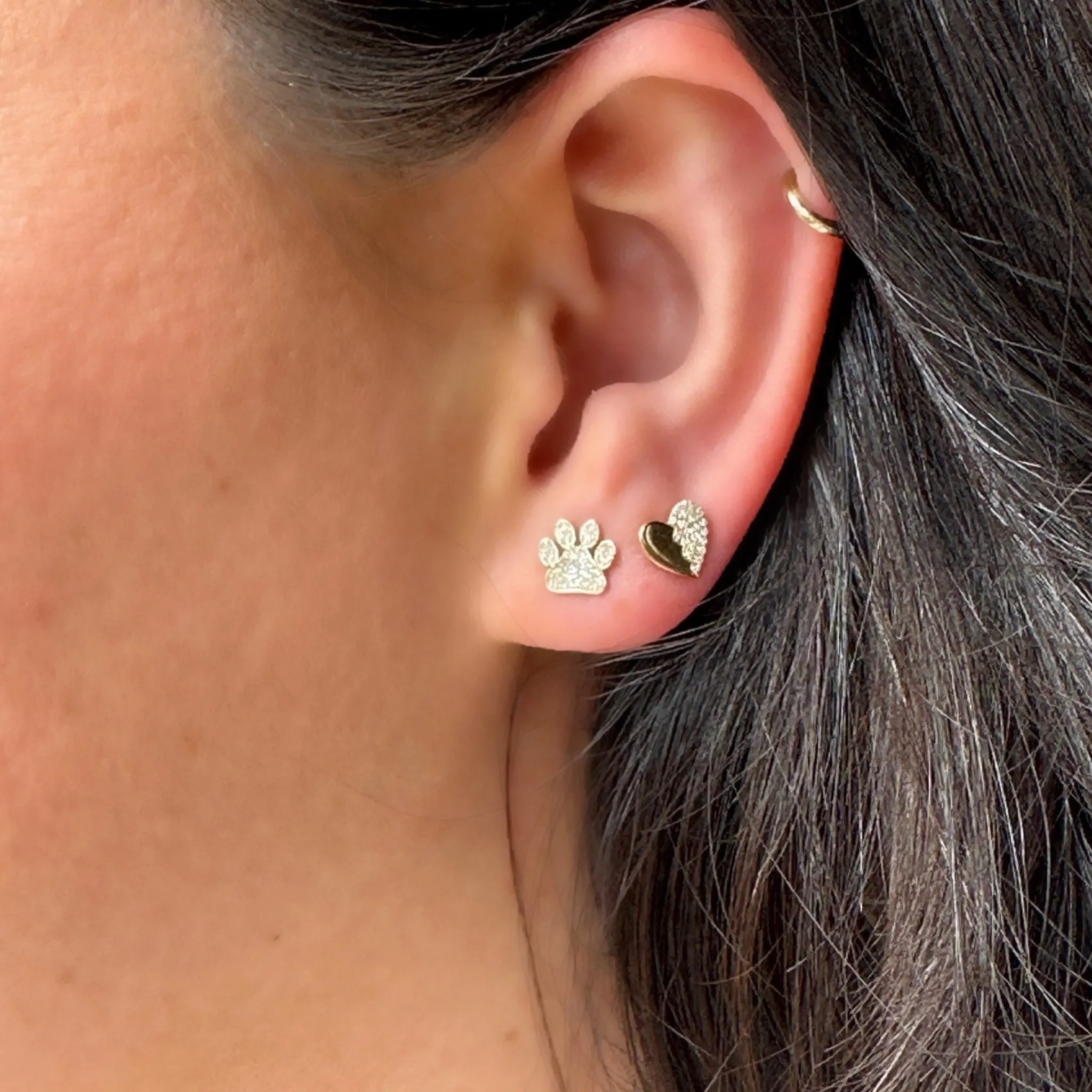 Diamond Ivy Paw Print