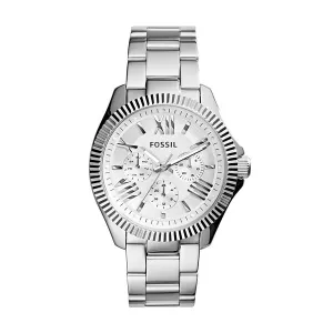 Fossil Cecile Silver Stainless Steel Silver Dial Quartz Watch for Ladies - AM4568