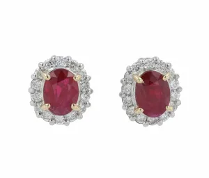PT900 Myanmar Ruby Halo Oval Studs<p><strong>JGSI Available</p></strong>