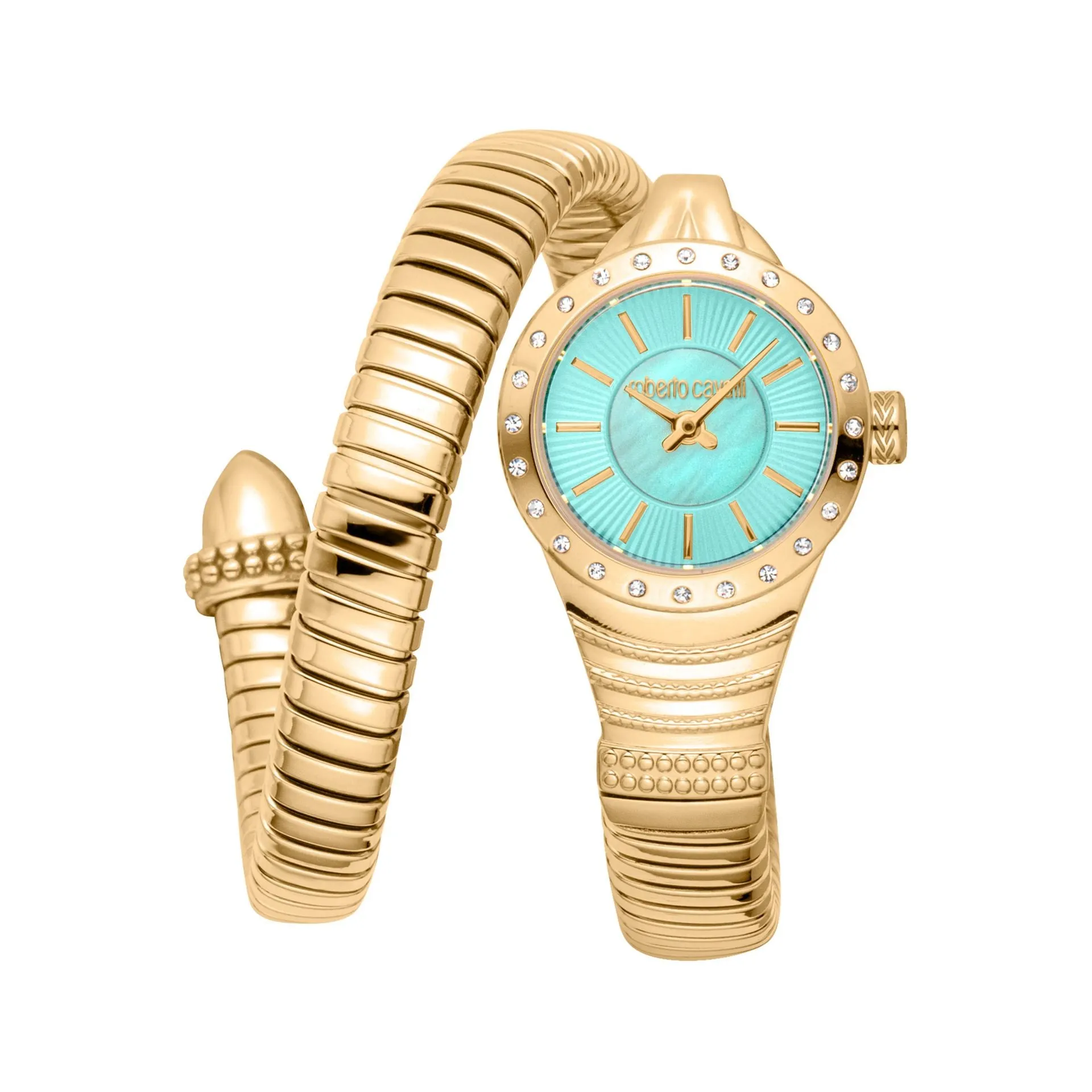 Roberto Cavalli Watches