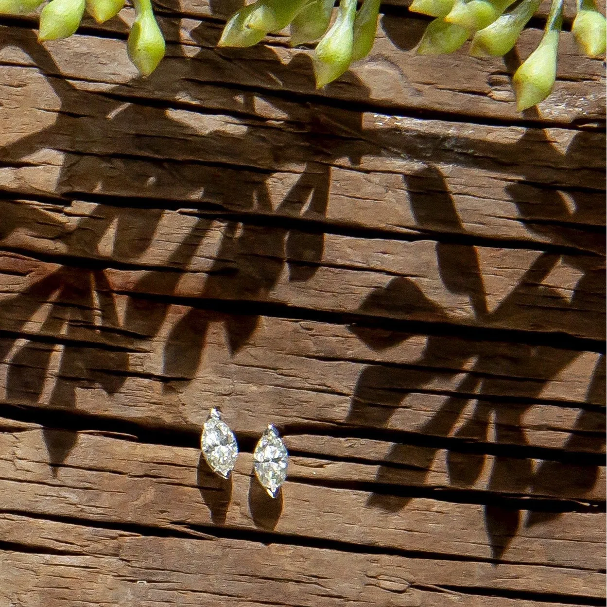 Sade Earrings