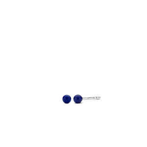 TI SENTO Earrings 7841BL