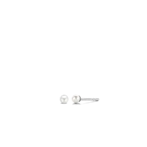 TI SENTO Earrings 7841PW