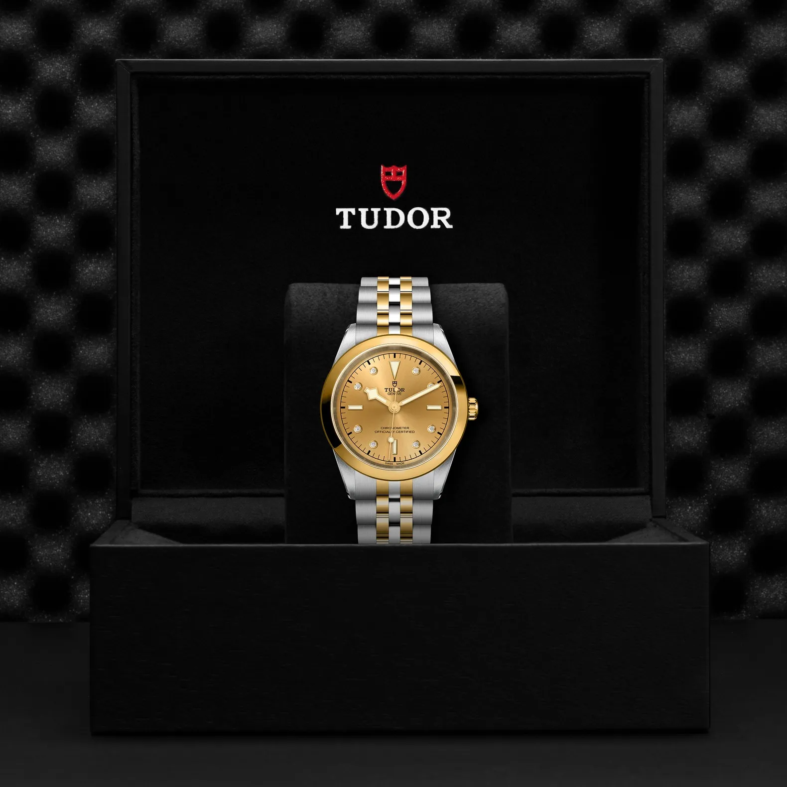 Tudor Black Bay 41 S&G