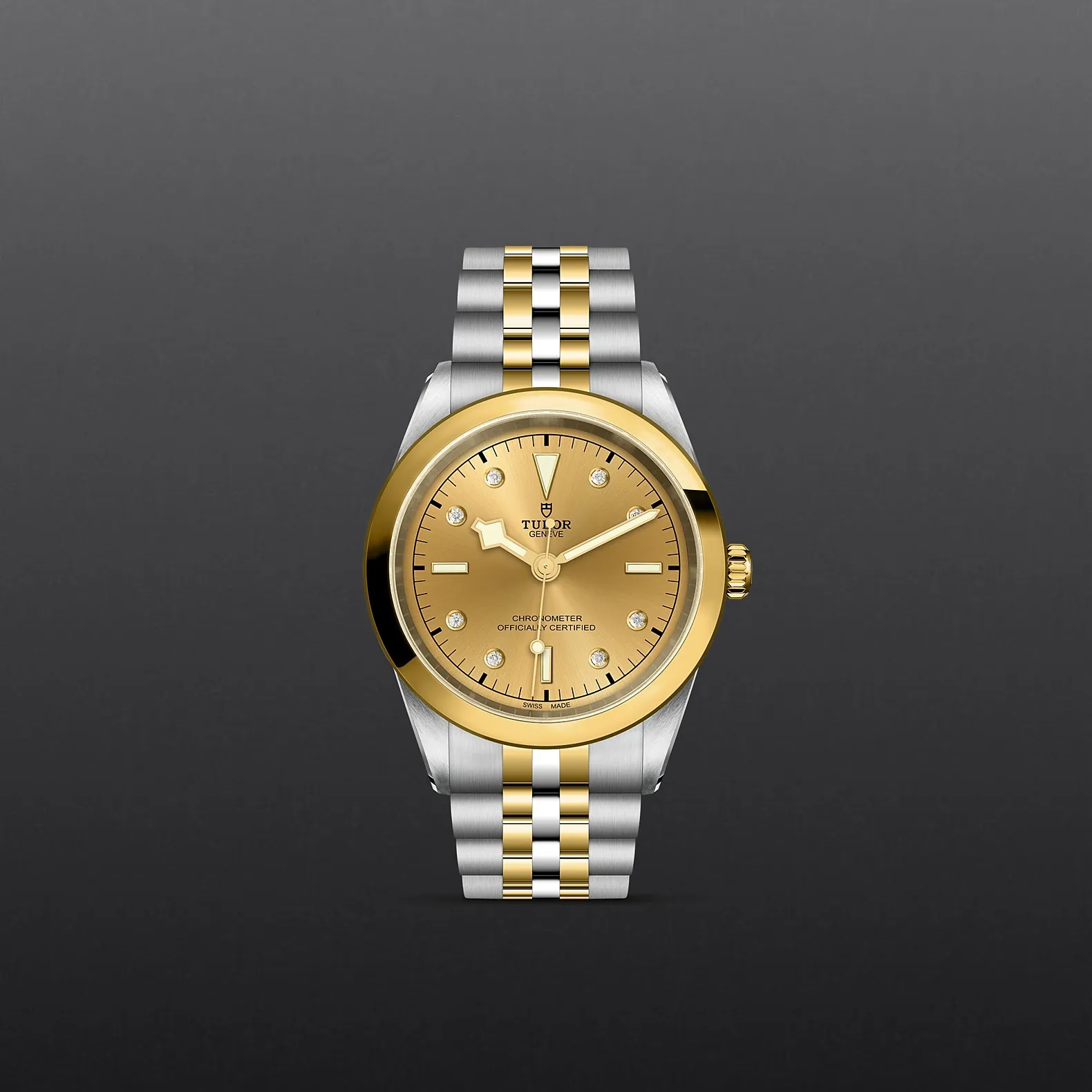 Tudor Black Bay 41 S&G